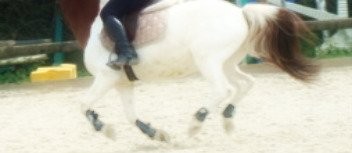 Photo de profil de troucoutre