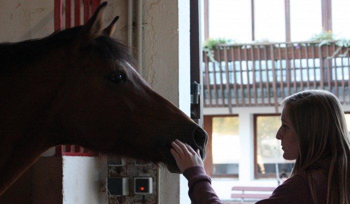 Photo de profil de wonderful-storm