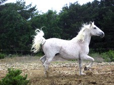 Photo de profil de iseer