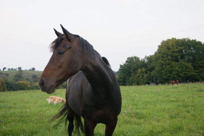 Photo de profil de tuesday