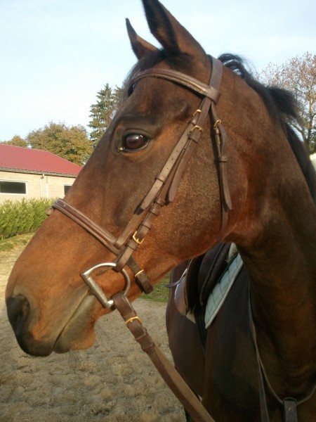 Photo de profil de guppy67