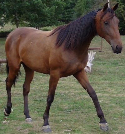 Photo de profil de titinefs