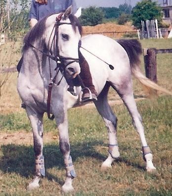 Photo de profil de cpamo