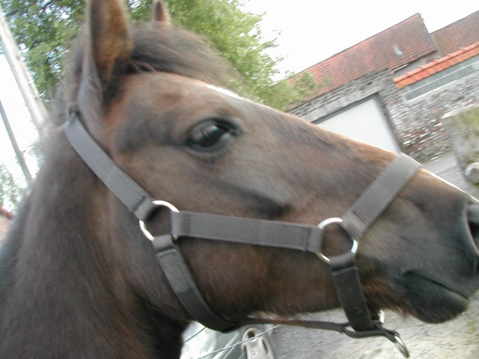 Photo de profil de julierosie