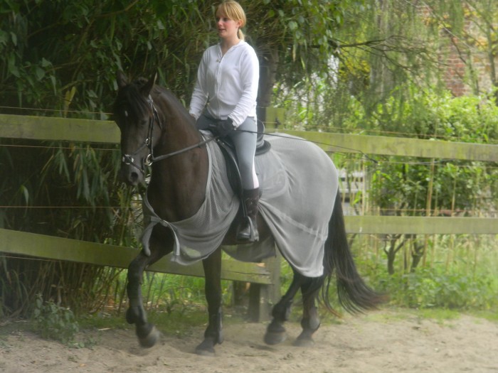 Photo de profil de shyning