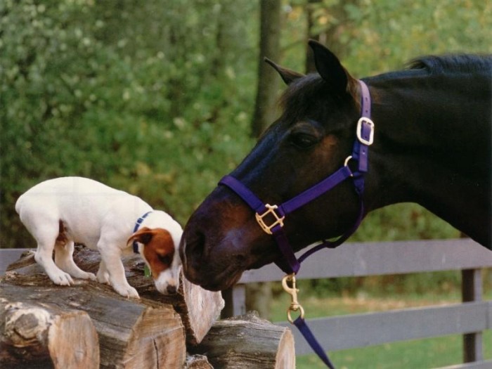 Photo de profil de ptiteboulette