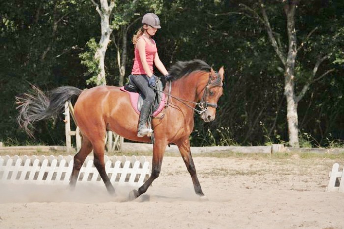 Photo de profil de soso-x3-29