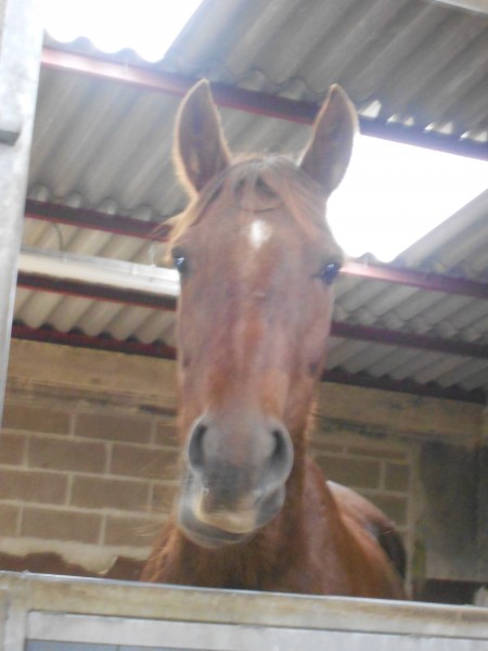 Photo de profil de xxmoustikxx