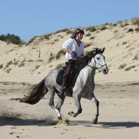 Photo de profil de gipsypia