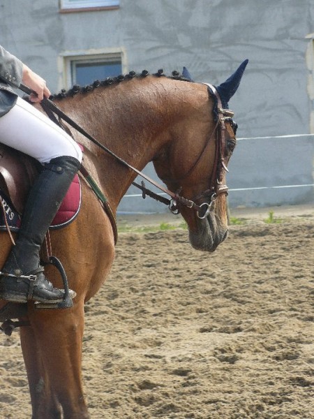 Photo de profil de fredouille44