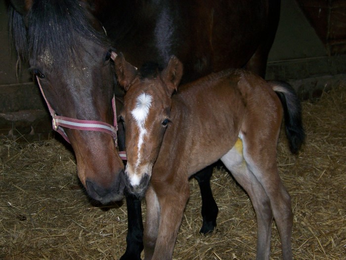 Photo de profil de yoyo