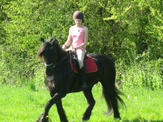 Photo de profil de fafo