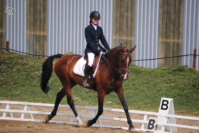 Photo de profil de alloguess