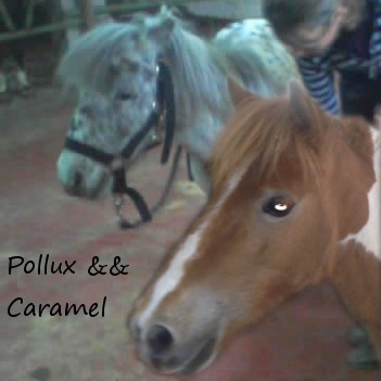 Photo de profil de carameletpollux