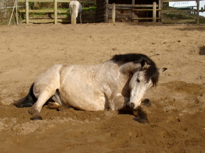 Photo de profil de luxcl