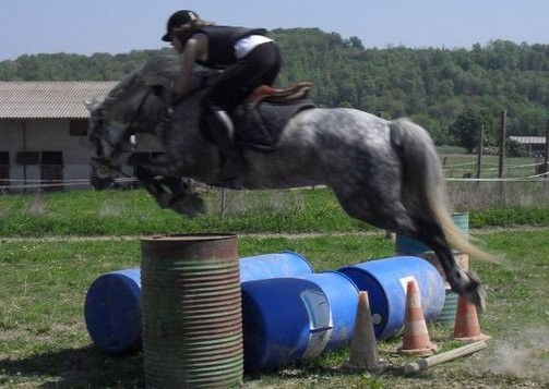 Photo de profil de leaedl