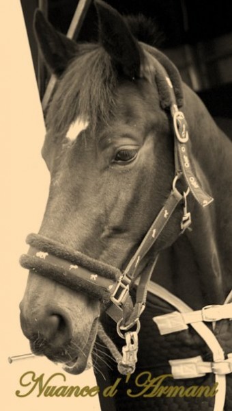 Photo de profil de stephaniecapell