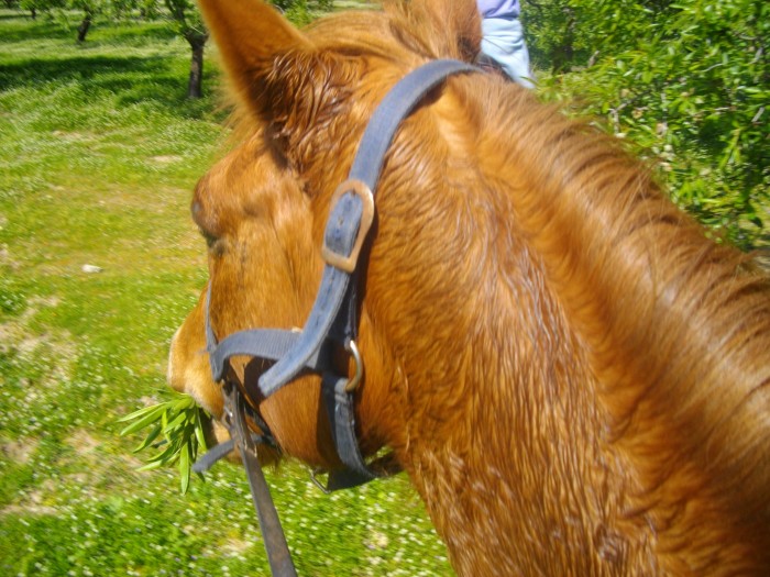 Photo de profil de mayeulis