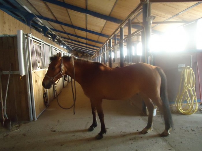 Photo de profil de paco74600