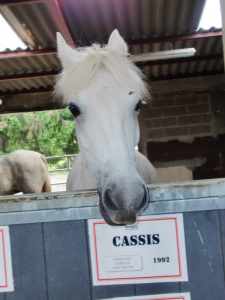 Photo de profil de flora08330