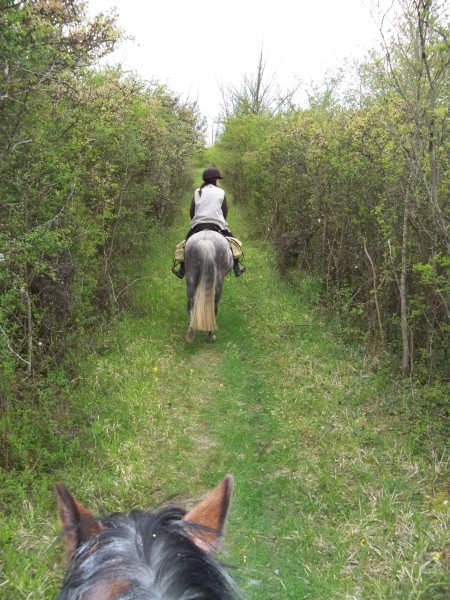 Photo de profil de ninoflo77