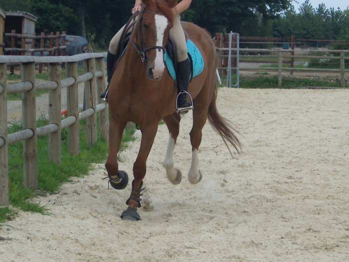 Photo de profil de selinko