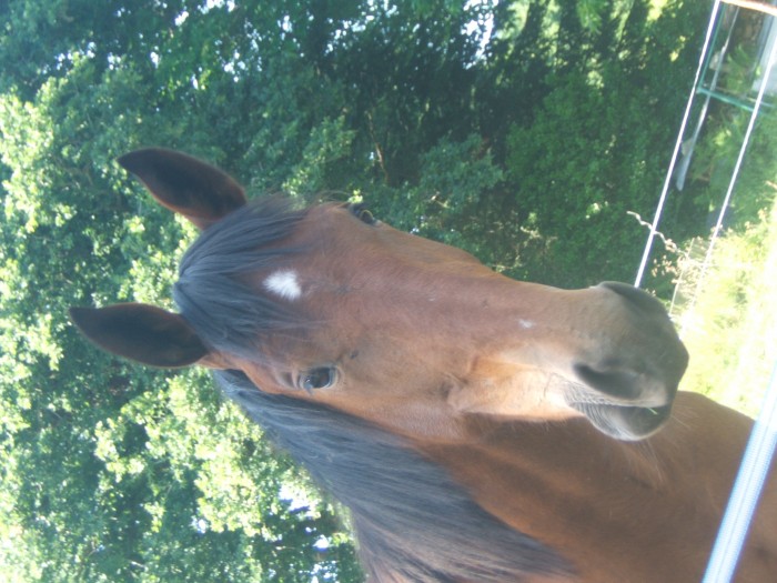 Photo de profil de valeriiia