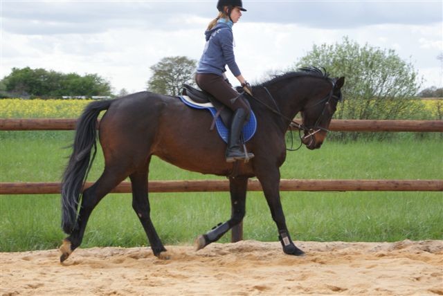 Photo de profil de camille12