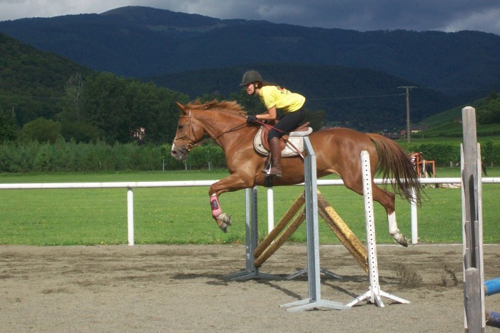 Photo de profil de deeloo