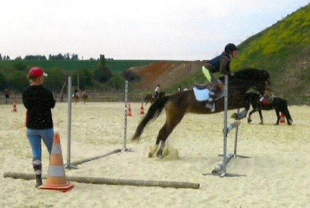 Photo de profil de oceanechinook