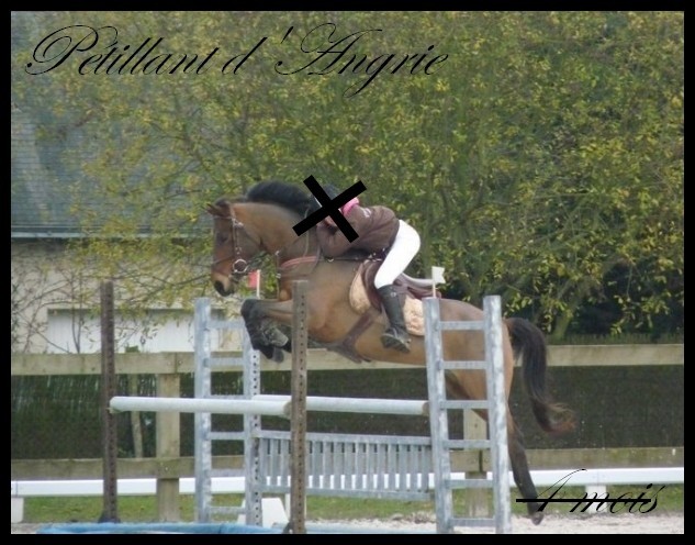 Photo de profil de cam.et.pet