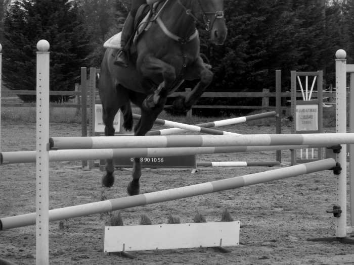 Photo de profil de alison1902