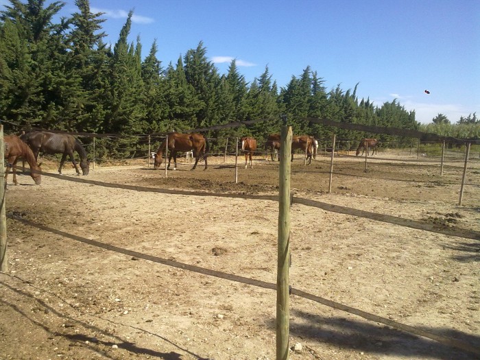 Photo de profil de vegasranch