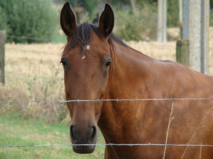 Photo de profil de blanchette