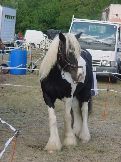 Photo de profil de kiwi83240