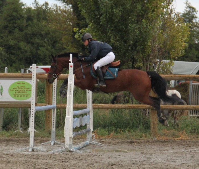 Photo de profil de opale84