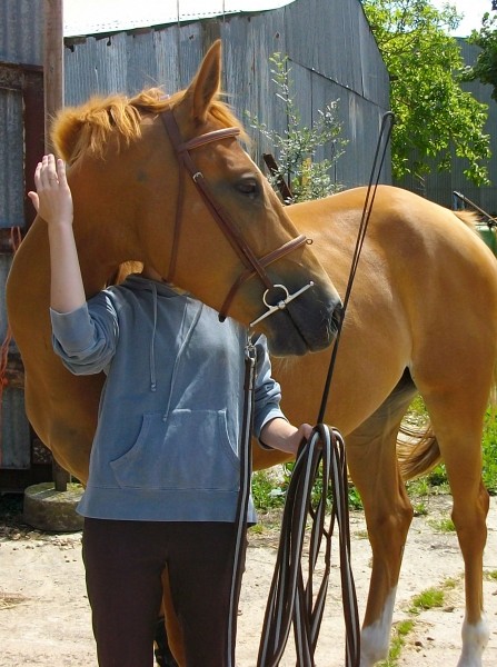 Photo de profil de toundratango