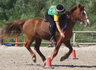 Photo de profil de dianeetoceane