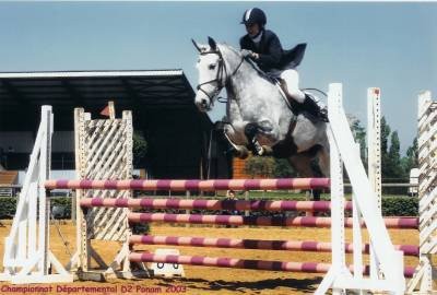 Photo de profil de myhorsedu44
