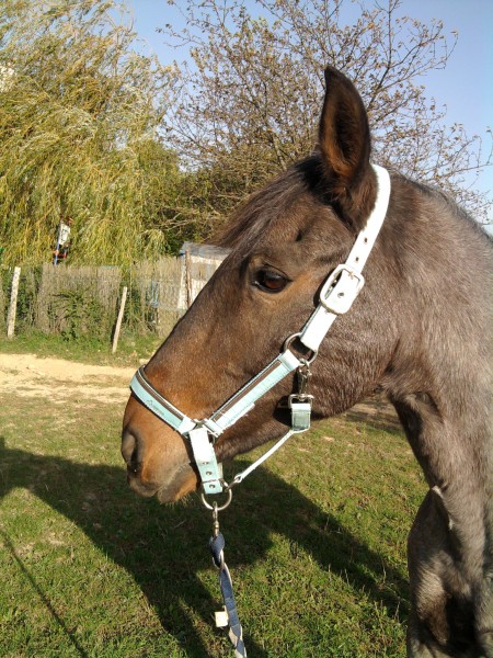 Photo de profil de marie6987