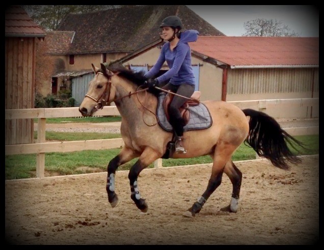 Photo de profil de voxane