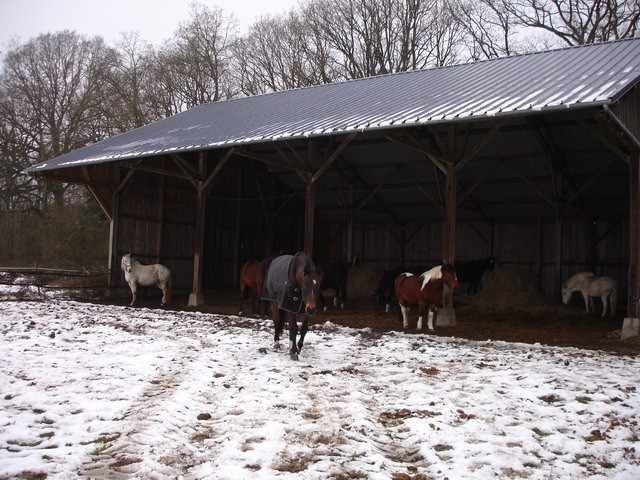 Photo de profil de fannybreviaires