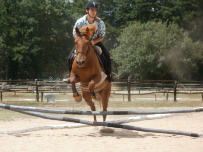 Photo de profil de benjiminus