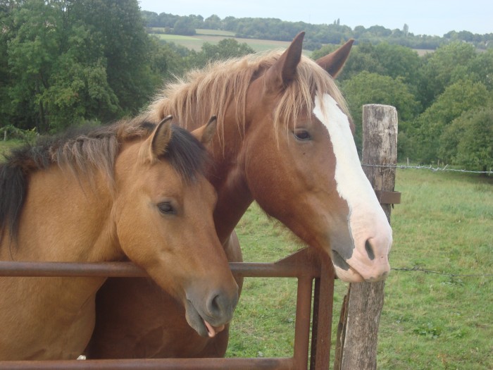 Photo de profil de smart