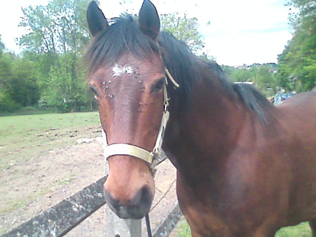 Photo de profil de jsjs171