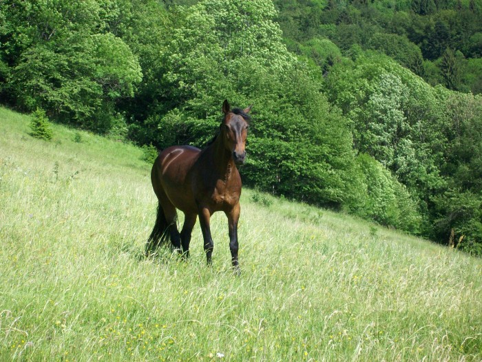 Photo de profil de didie38