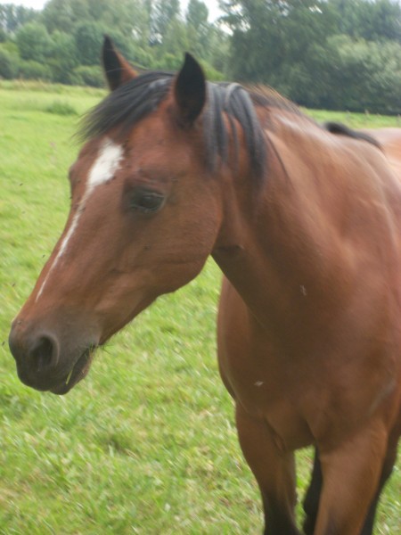 Photo de profil de klara17
