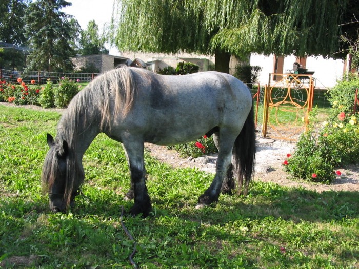 Photo de profil de saperlipopette