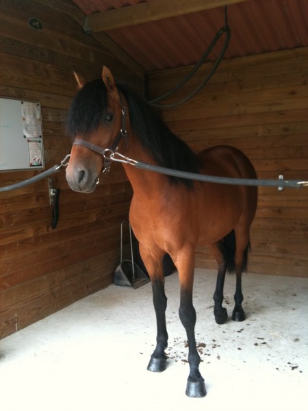 Photo de profil de agathe56