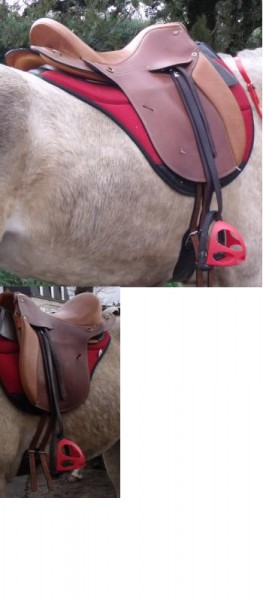 Photo de profil de marion46